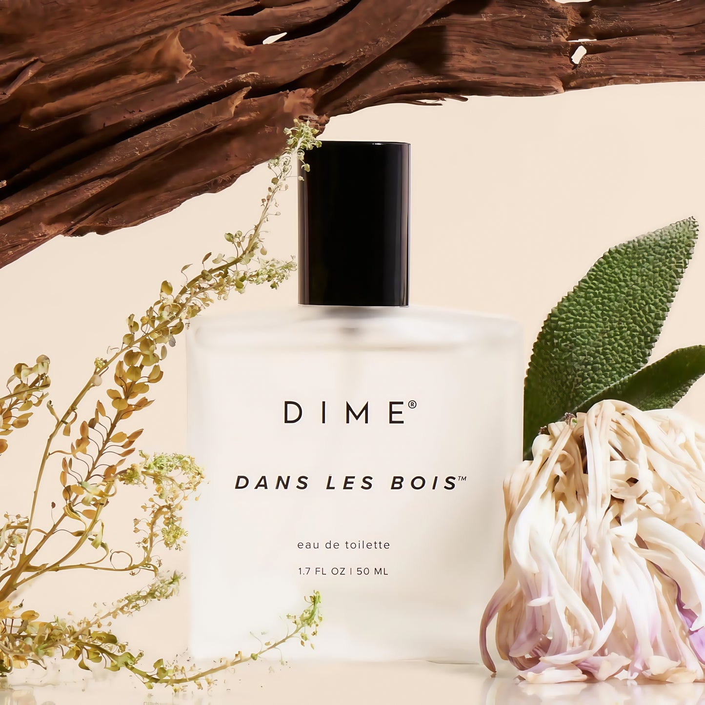 DIME Beauty Perfume Dans Les Bois Eau de Toilette For Women